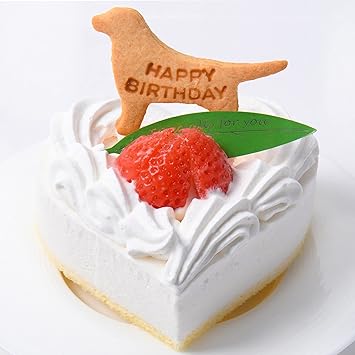 Amazon 犬用ケーキ ハート型 手作り バースデービスケット付き アニバーサリー 誕生日 お祝い ドッグ フード 犬 エーアシスト ビスケット クッキー スナック 通販