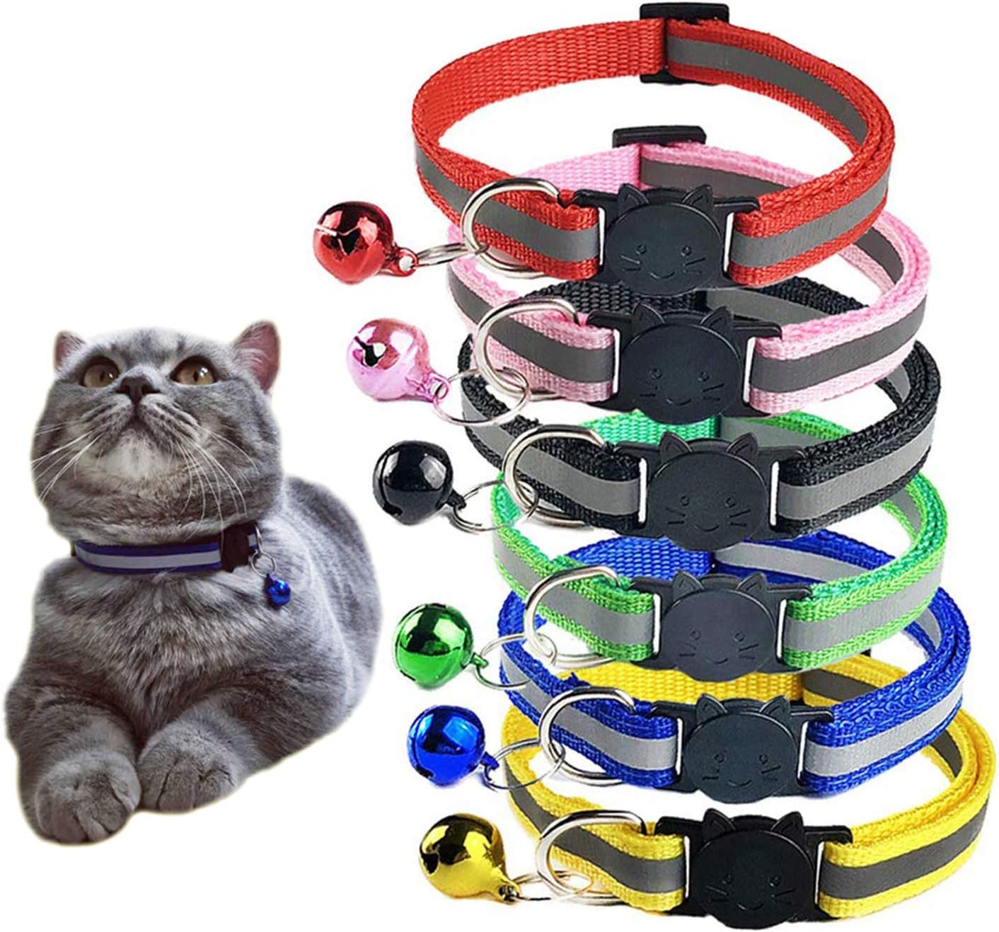 Cats and collars Clearance