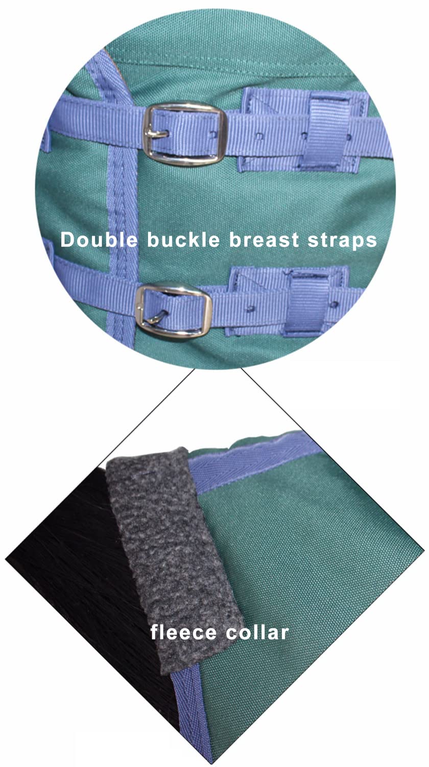 Coperta invernale impermeabile per cavalli, verde scuro, 250 g, per cavalli Shetland, pony, resistente e accogliente, con collo standard, 1200D