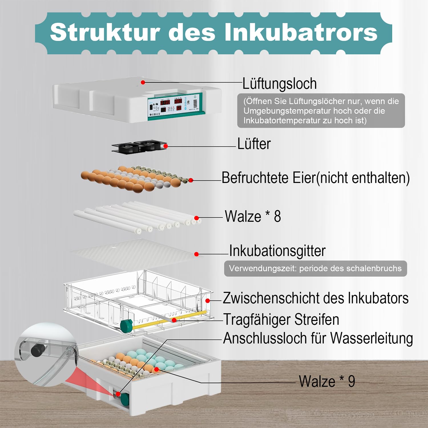 CoInceptus Brutautomat Vollautomatisch Inkubator mit 120 Eier, Brutkasten für Hühner & Wachteln automatischem Wenden, Feuchtigkeitsanzeige und 4 Inkubationsmodus Automatisches Wasser Brutmaschine