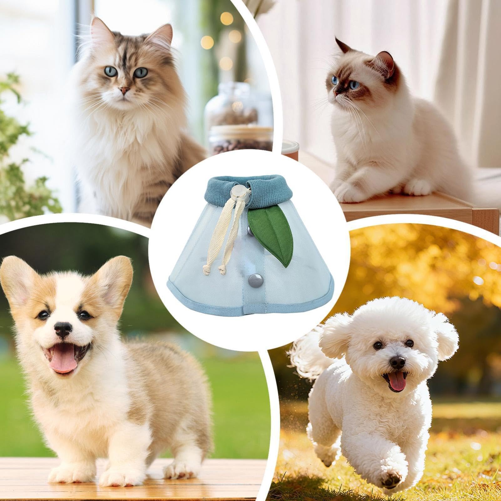 Imbuto per cani, protezione per il collo contro la lecca, collare a imbuto in rete traspirante, per razze piccole, medie e grandi, cuccioli, gattini, interni ed esterni, giardino e passeggiate