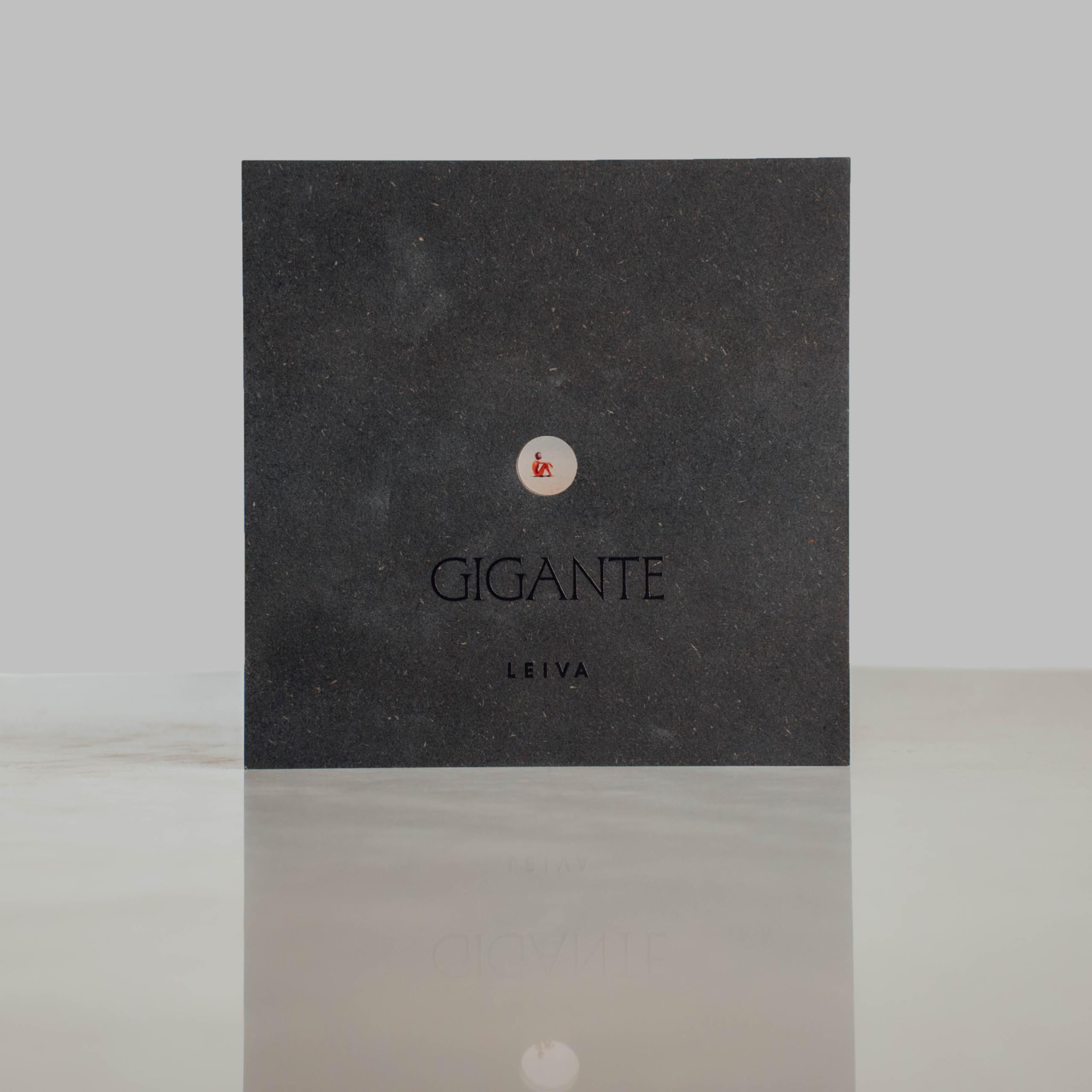 Giant Deluxe Case