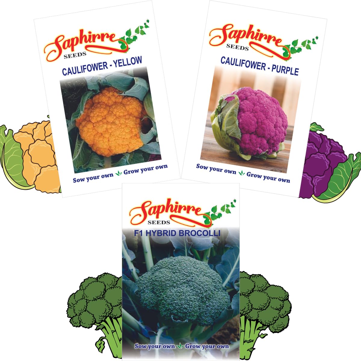 Sponsored Ad - Saphirre Seeds Vegetable seeds combo cauliflower yellow, cauliflower purple, brocolli