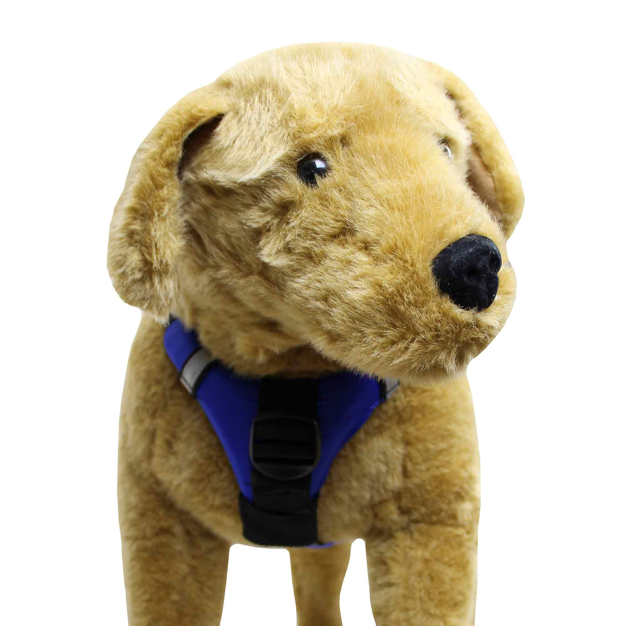 Pup Float Mango - S