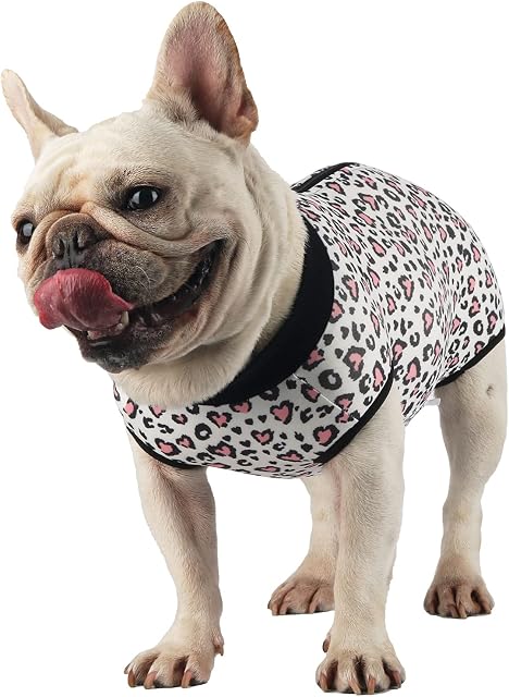 Etdane Dog Recovery Suit After Surgery Onesies Surgical Vest for Female Male Doggy Cat Pet Post-Operative Bodysuit Leopard/M