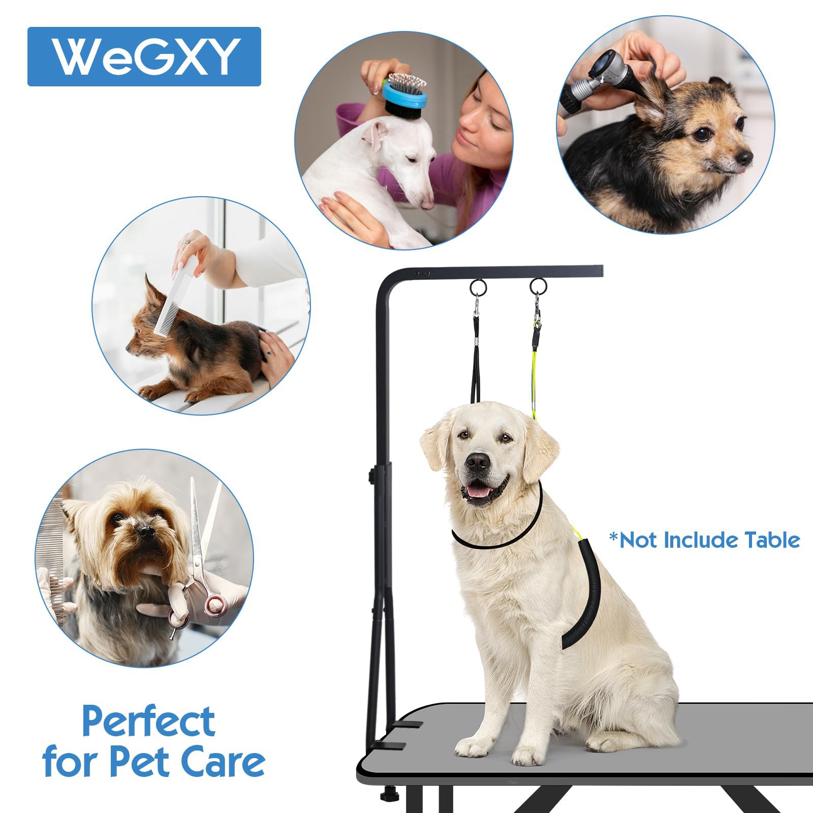 Braccio per Igiene Cani con Pinza - Altezza Regolabile (72-97 cm) - Accessorio per Cani con Collare e Supporto - Ideale per Bagno, Asciugatura, Toelettatura e Cura Unghie