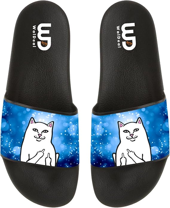 cat wearing flip flops