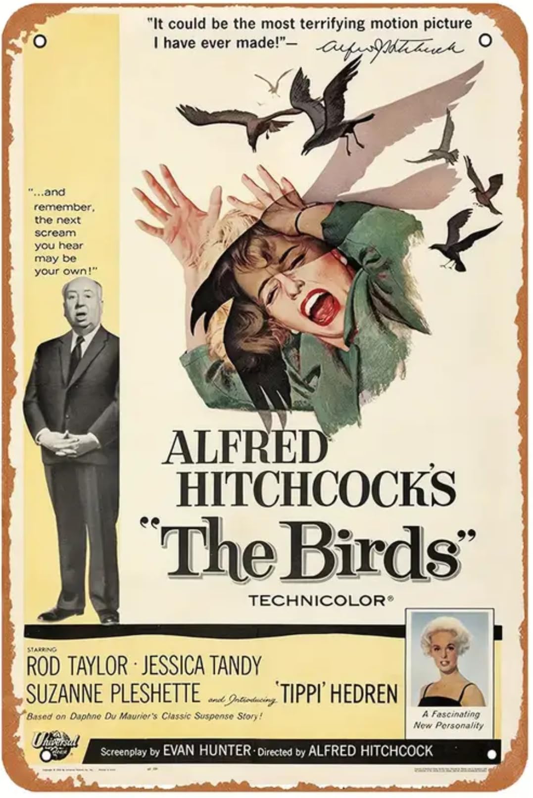 Amazon.co.jp: 『鳥』 映画ポスター 1963年 ヒッチコック作品 メタル 