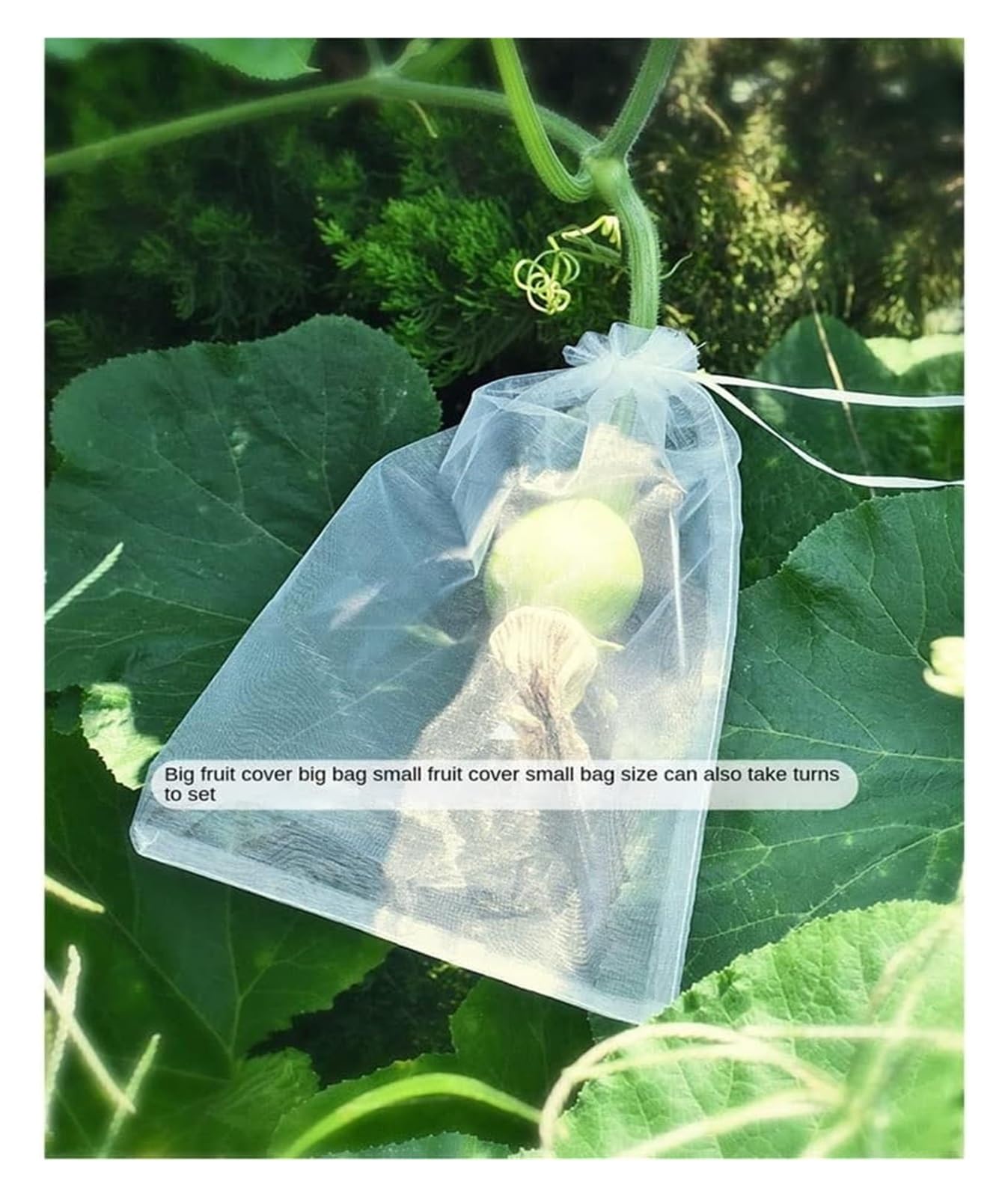 Bolsas Protectoras contra Insectos para Uvas, Bolsa de Malla a Prueba pájaros for Control plagas y Verduras, 50 Unidades, for Fresas, Uvas huertos(20x30cm)