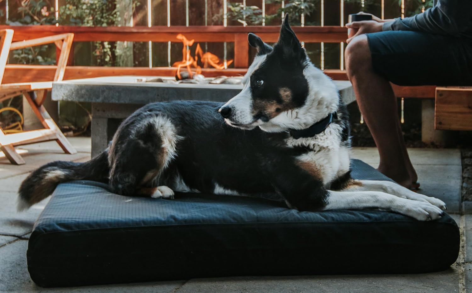 The Ultimate Comfort: K9 Ballistics Tough Orthopedic Dog Bed Review