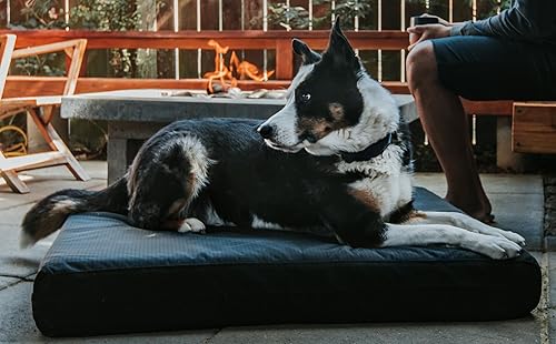 Miniatura 2 de K9 Ballistics Tough Rip-Stop - Cama ortopédica rectangular para perro, funda extraíble y lavable, espuma ortopédica sólida para perros de tamaño XL
