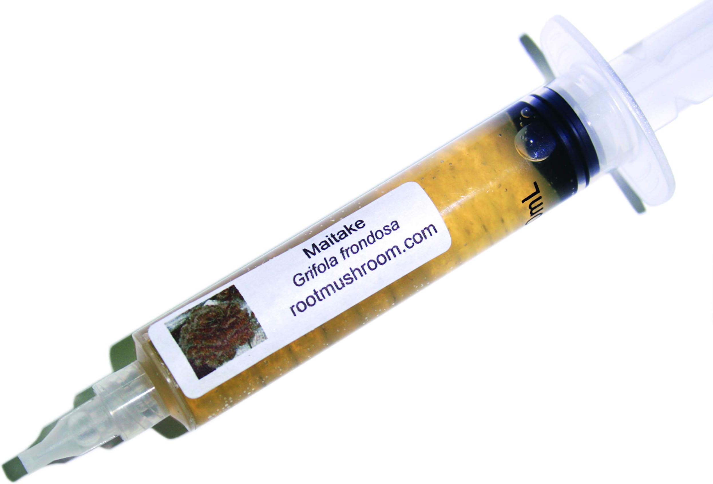 Root Mushroom Farm- 30 Mushroom Liquid Cultures / Maitake(Grifola frondosa)