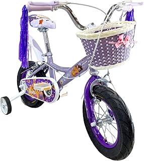 دراجة اطفال بناتي مقاس 12 بوصه من عمر 3سنوات الي 5 سنوات فلاش عجلة 4 الوان بناتي-الوكيل الرسمي للمنتج GTG TOYS- br purple أرجواني