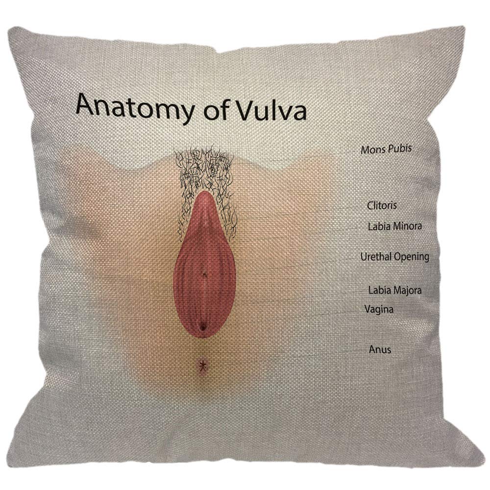 SJOAOAA Anatomy of Vulva Throw Pillow Cover,Female Vagina Urethra Clitoris LabiaMinora Anus Reproductive System Decorative Pillow Cases Linen Square Cushion Covers for Home Sofa Couch 18x18 inch