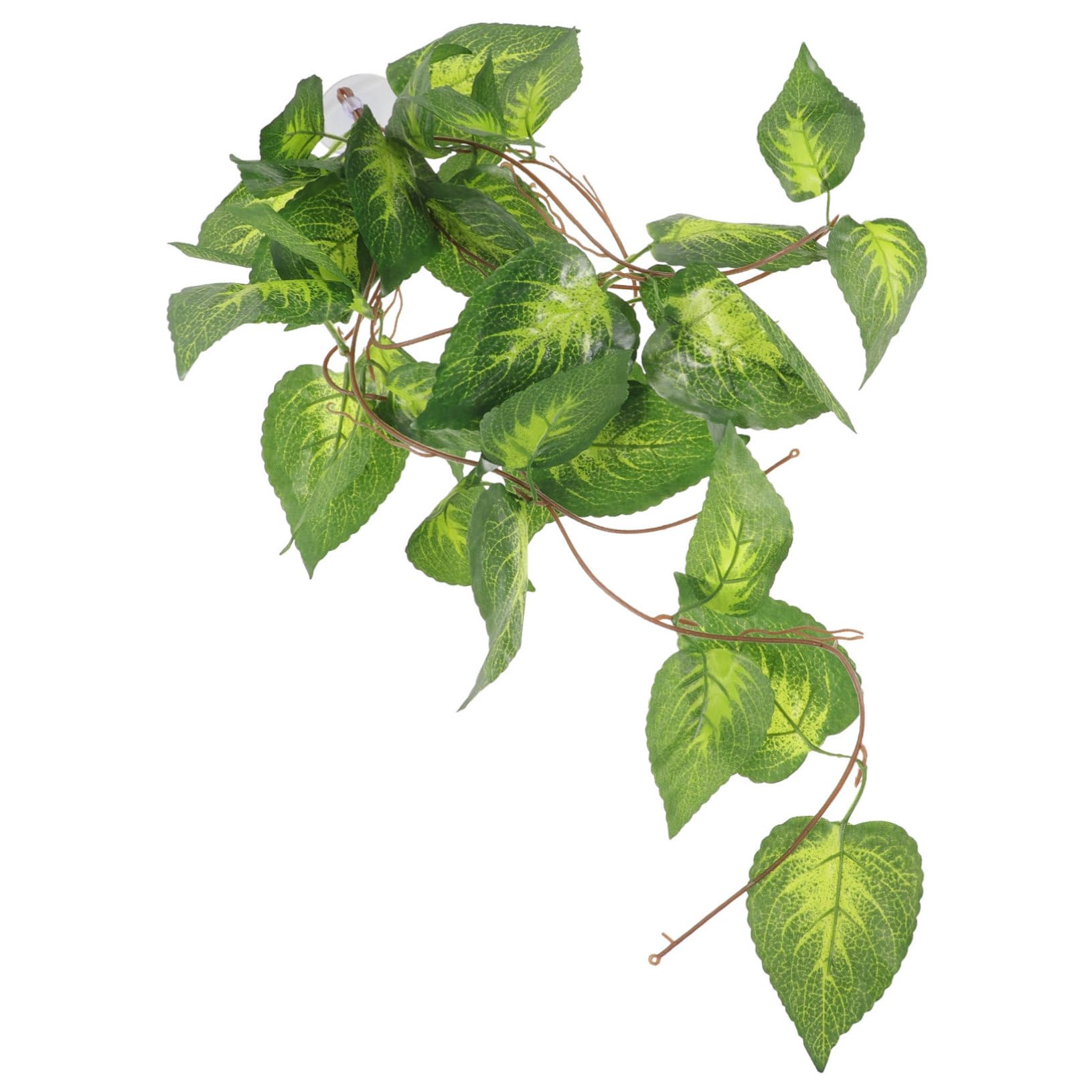 DOITOOL 5 Piezas Planta de simulación de Oruga decoración de vides Falsas contenedores de Vidrio Animal Plantas Artificiales Planta Falsa de Acuario Planta de pecera Hojas