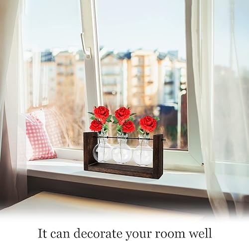 Miniatura 3 de Terrario para plantas con soporte de madera, jarrón de propagación de mesa, macetas hidropónicas de vidrio, maceta de aire, florero de vidrio con