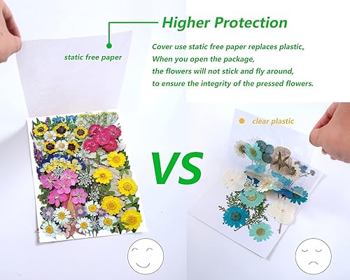 Miniatura 34 de 100 piezas de hojas verdes prensadas secas reales, herbario de plantas naturales para bricolaje, moldes de resina, fabricación de joyas