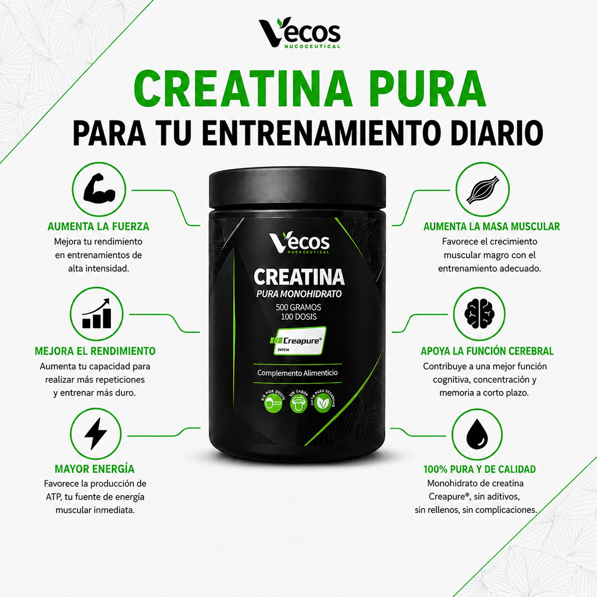 Creatina Monohidrato Creapure® – Polvo Micronizado 500 g sin Sabor – Alta Pureza Alemana para Máxima Fuerza, Potencia y Recuperación (500 Gramos)