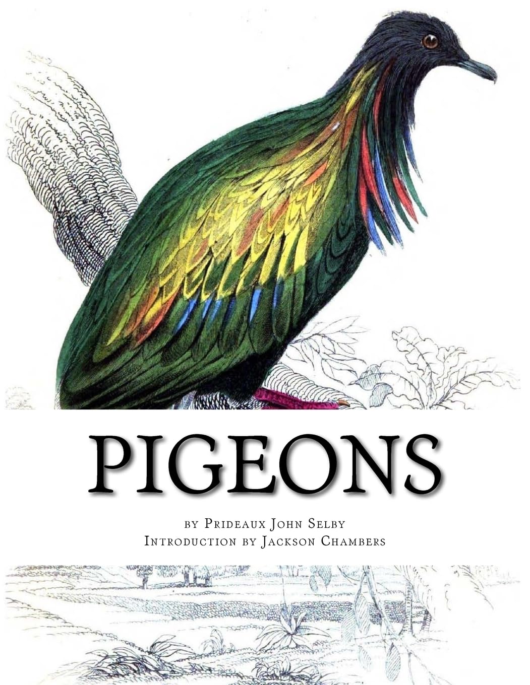 Pigeons: Pigeon Classics Book 9: Volume 9