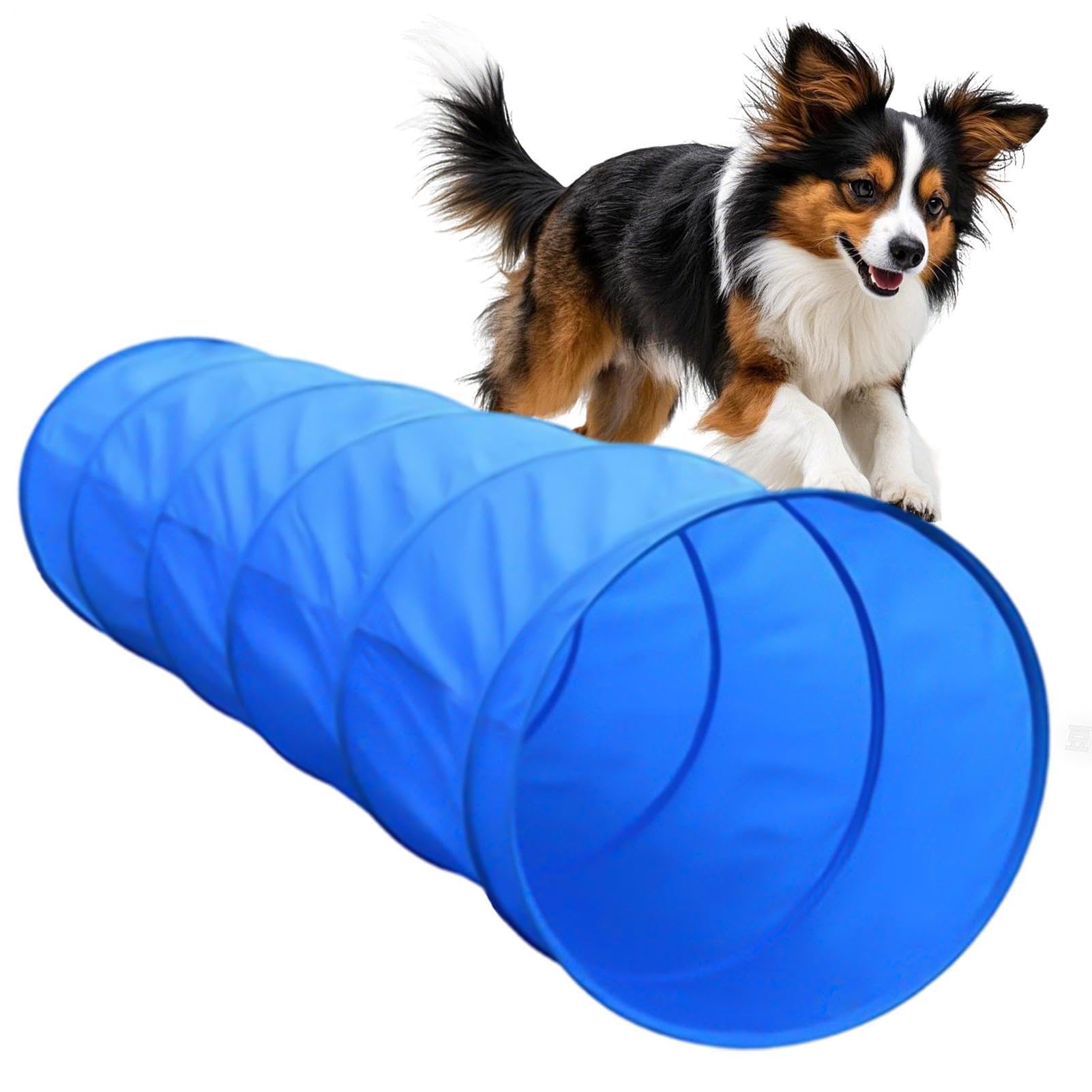 Juego de entrenamiento genérico para perros con | Equipo de Juego para Perro de Jardín, Parque, Playa, Campo De Juego, Competición Y Recreación En