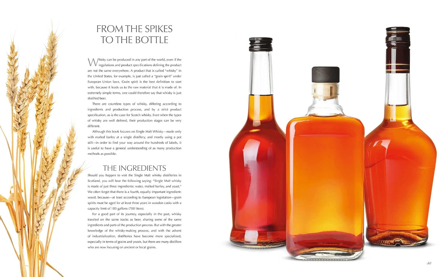 Whisky Sommelier: A Journey Through the Culture of Whisky