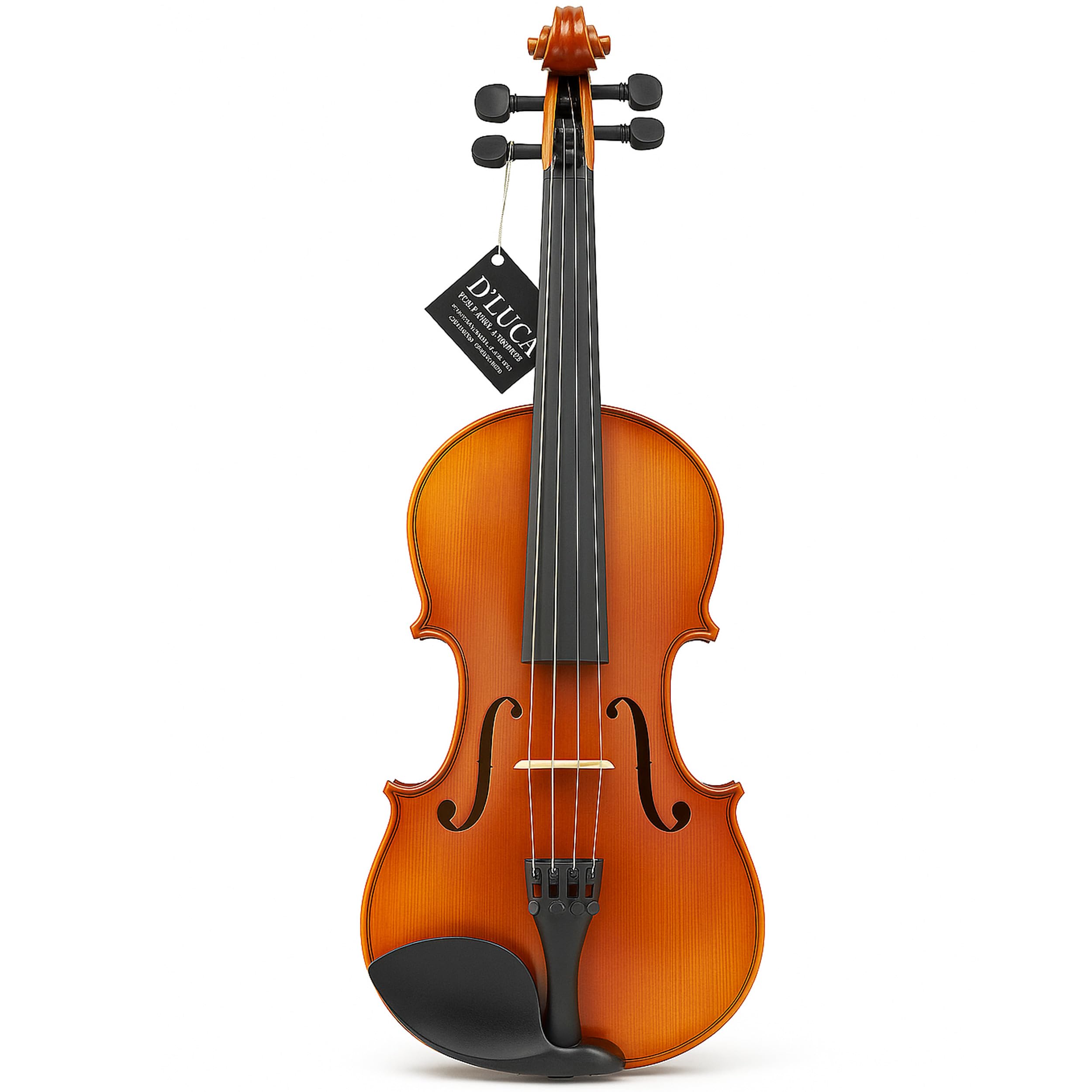 D'Luca, 4 Strauss Professional Violin Outfit 4/4 with SKB Case, Strings and Tuner, Right, (PROJBV44)