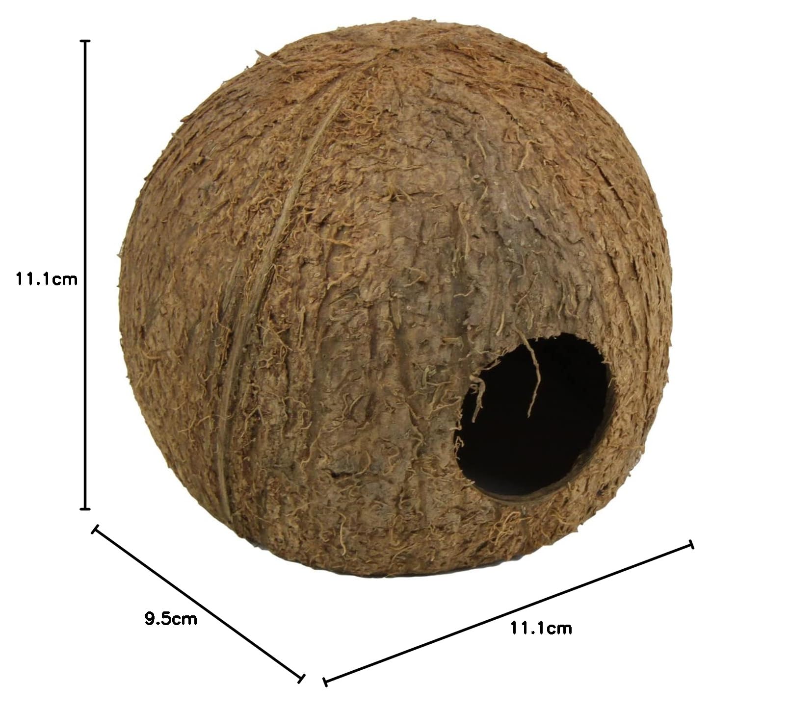JBL 61512 miska z orzecha kokosowego jako jaskinia do akwariów i terrariów Cocos Cava 3/4 l
