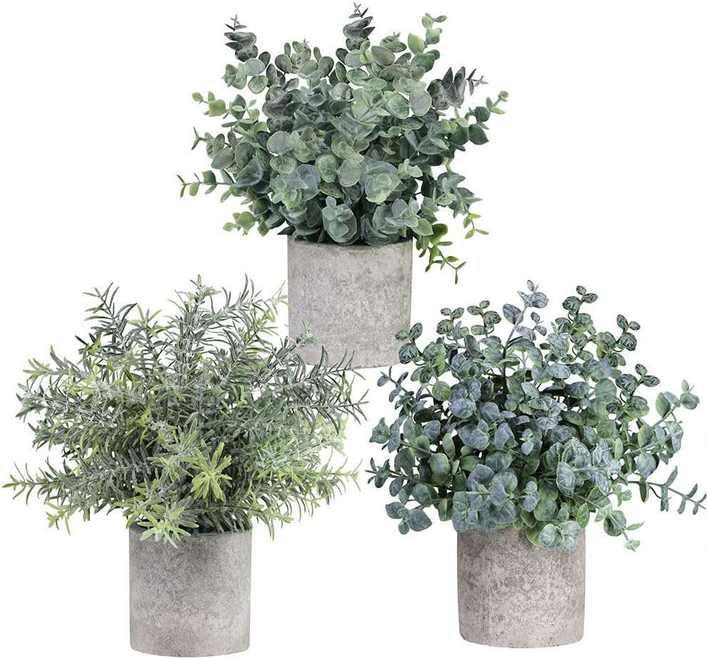 Winlyn Set of 3 Mini Potted Artificial Eucalyptus Plants Plastic Fake Green Rosemary Plant for Home Decor Office Desk Shower Room Decoration