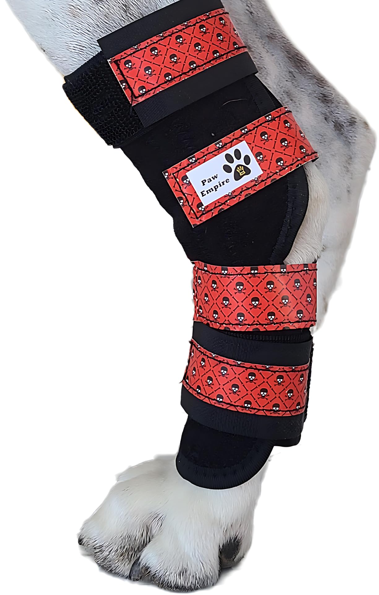 Paw Empire - Pair of Dog Leg Braces, Ultra Supportive, Comfortable, Dual Metal Springs, Canine Hock Brace for Joint Arthritis, Assists Injury & Sprains (Medium, Red Skulls) โ image 1