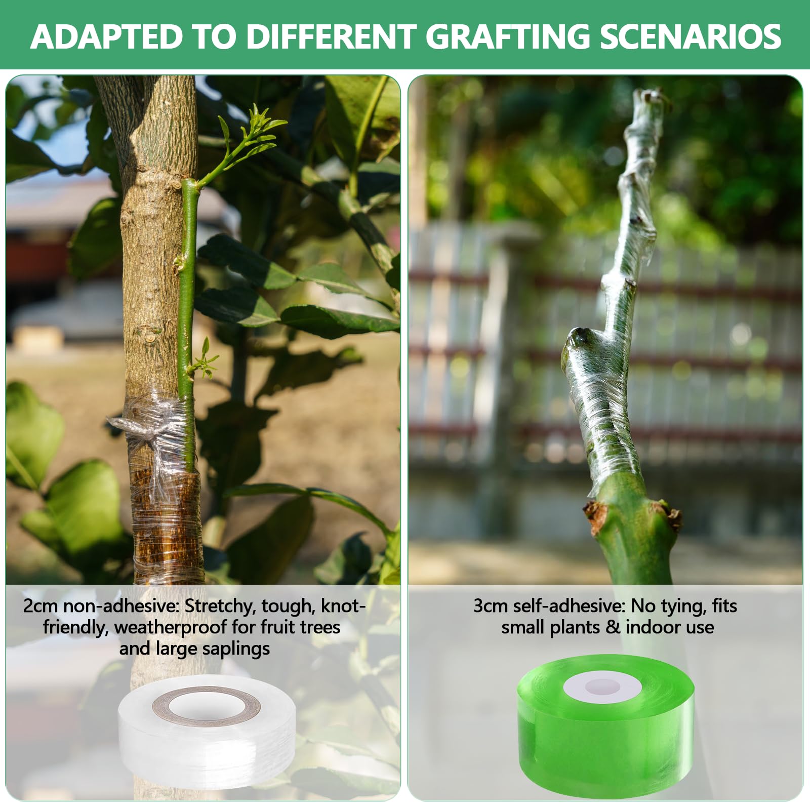 Cinta de Injerto 5Pcs Cinta para Injertar Cinta de Injerto Estirable y Transparente con 10Pcs Ataduras para Injertos de Árboles Frutales y Reparación de Ramas en Viveros y Jardines