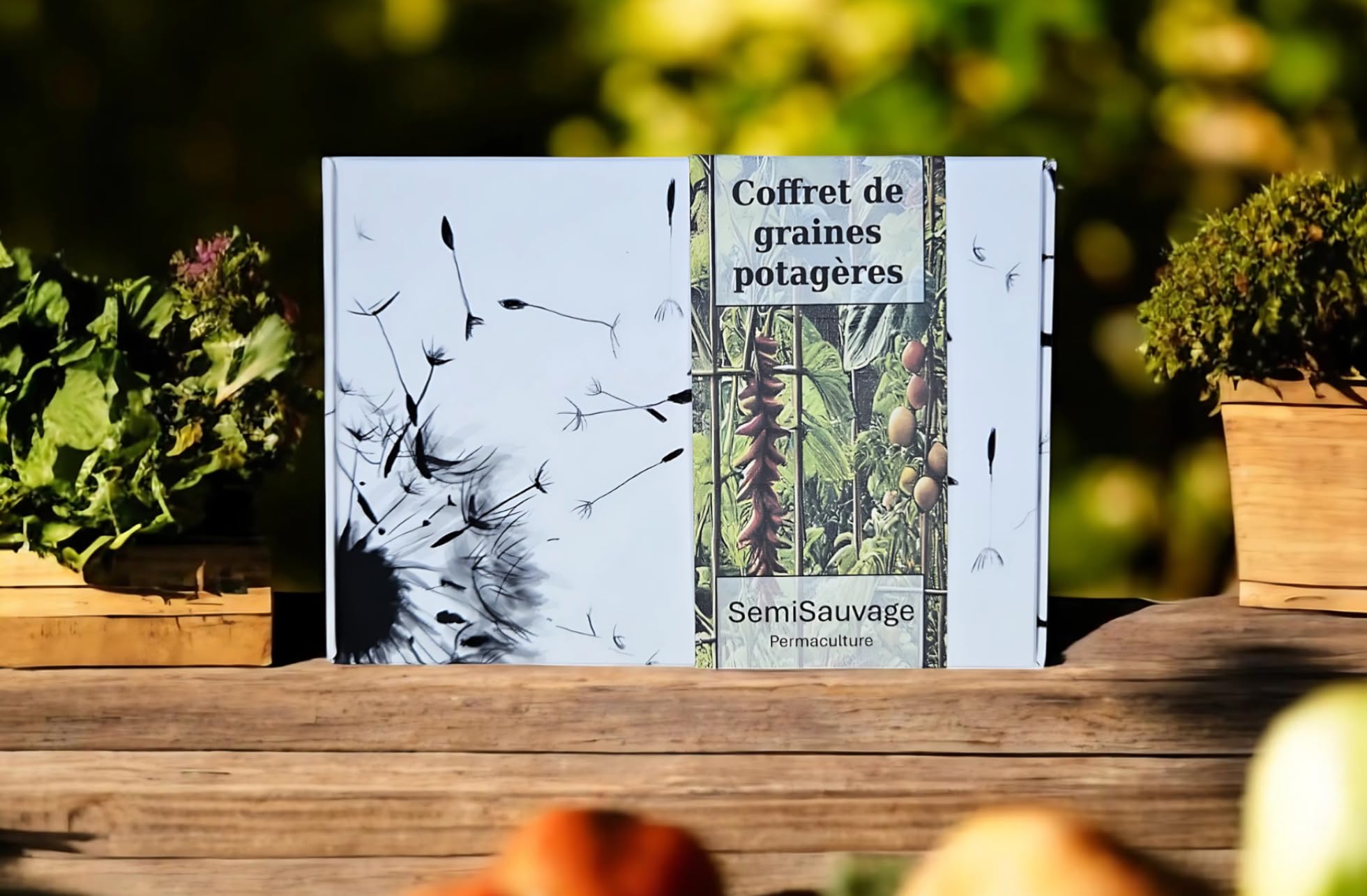 Zestaw nasion - Specjalne Warzywa Słońca - SemiSauvage Permaculture