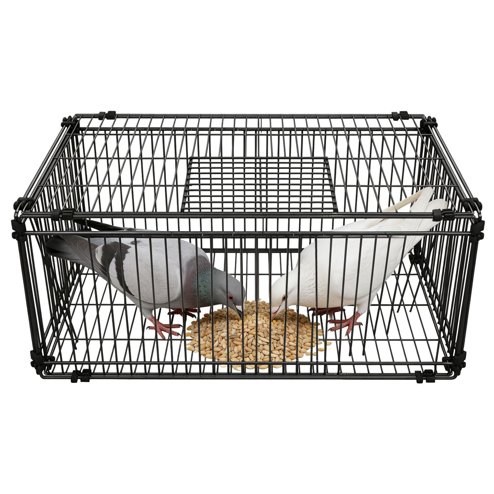 60x40x26 cm,Faltbarer Taubenkäfig mit Einweg-Eingang & Dachluke,Vierseitige Öffnungsstruktur– Robuster Taubenkäfig für Garten, Balkon & Hof – Zusammenklappbare Voliere