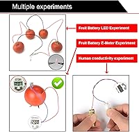 Vista 4 de Kit de experimento de batería de frutas EUDAX para equipo de enseñanza escolar y en casa de bricolaje, kit de proyecto de ciencia de reloj