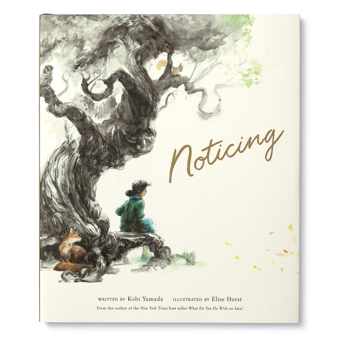 Noticing (Mentor)