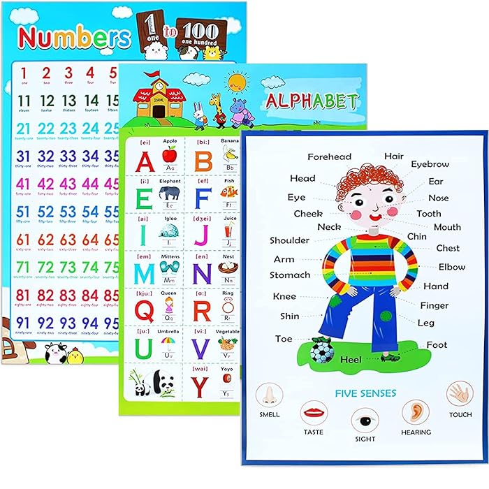 Buy 3 Pieces Educational Poster Laminated Wall Learning Chart Number