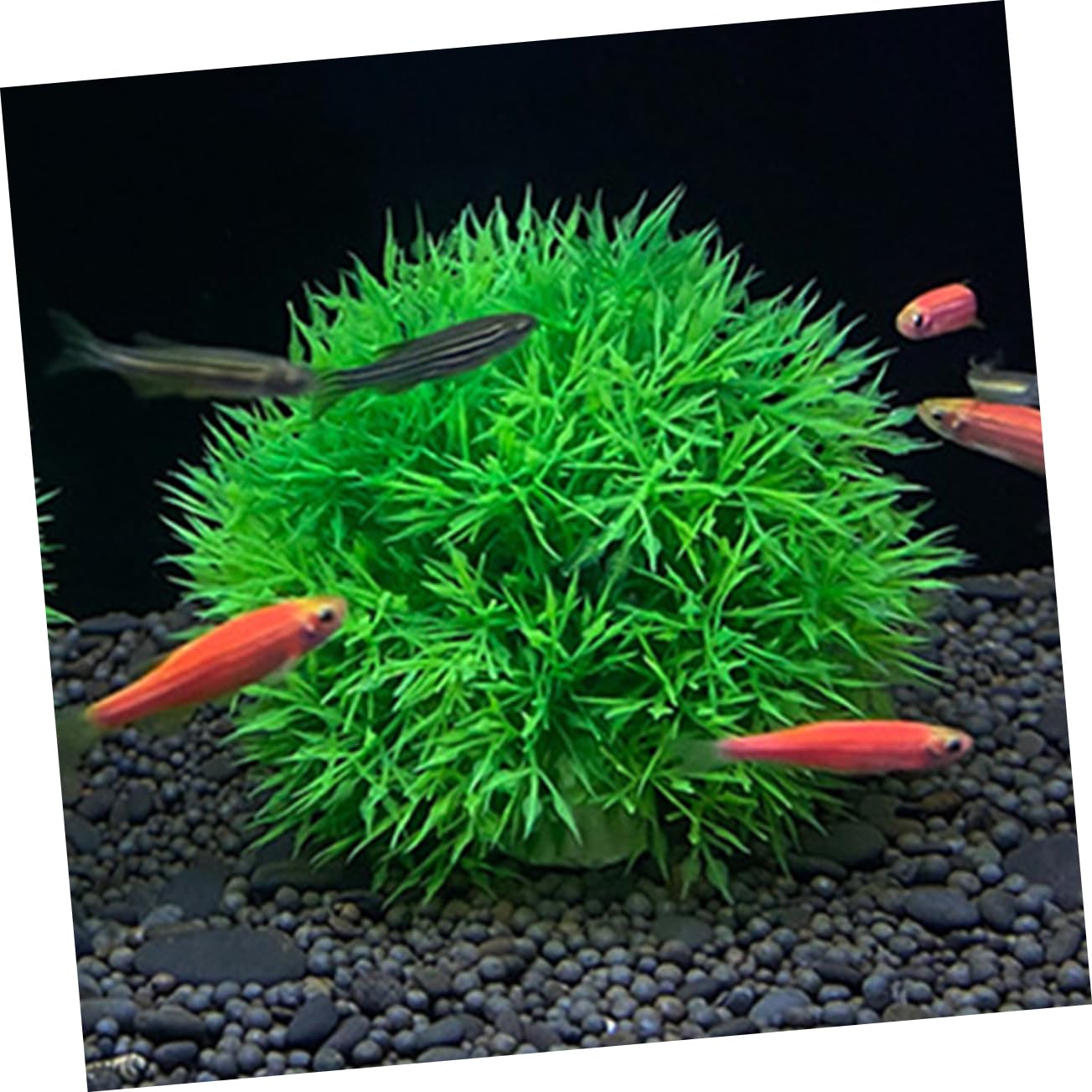 Cabilock 6 Piezas Decoración de Plantas Verdes simuladas. Planta Artificial Planta Falsa Decoraciones de Plantas de Acuario Decoraciones caseras del Acuario pecera artesanía