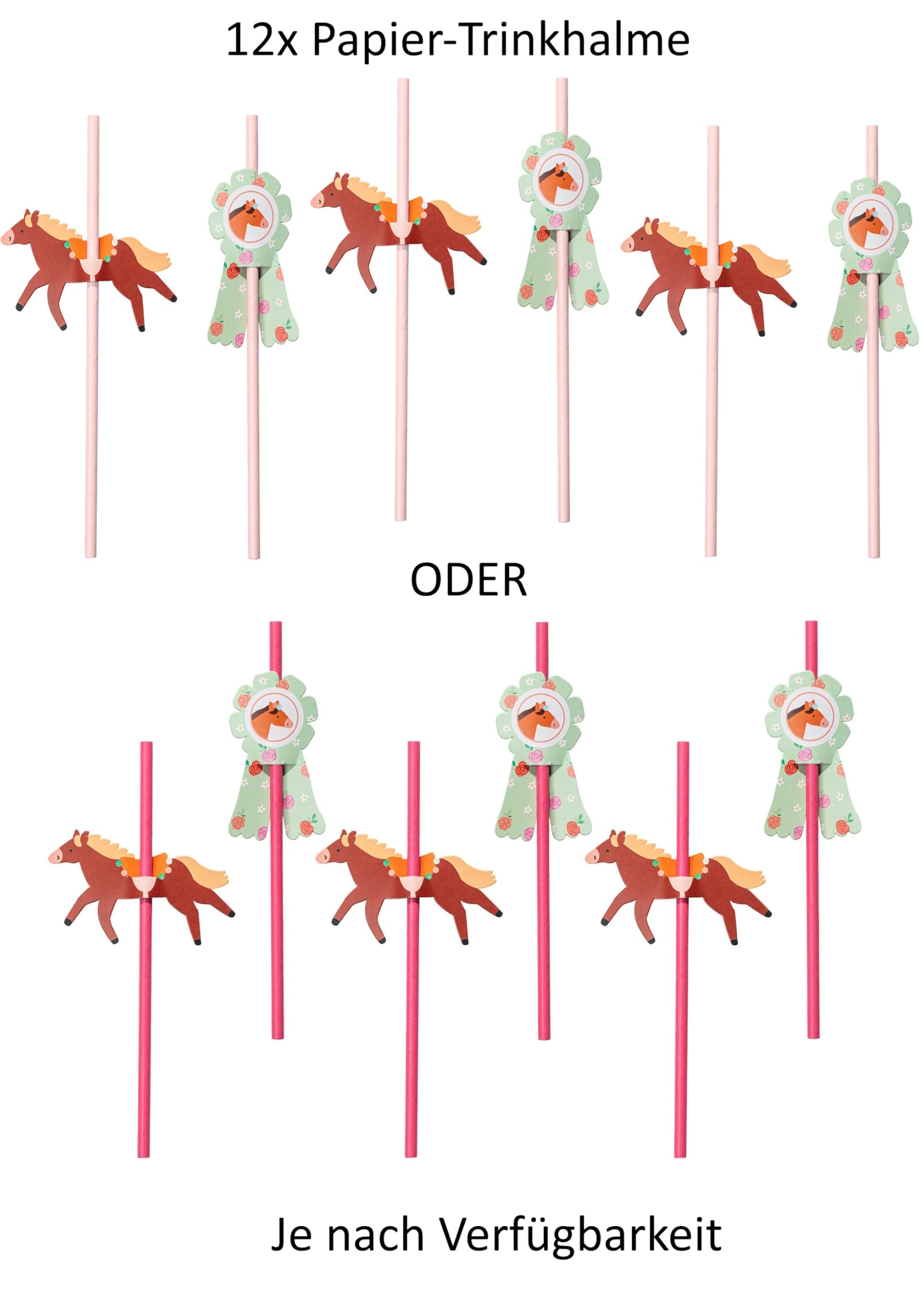 Set di stoviglie da 48 pezzi, design pony, cavalli dolci, compleanno, ragazze, ragazzi, feste, compleanni per bambini, adulti, stoviglie di cartone, cavallo, cavaliere, per 12 persone