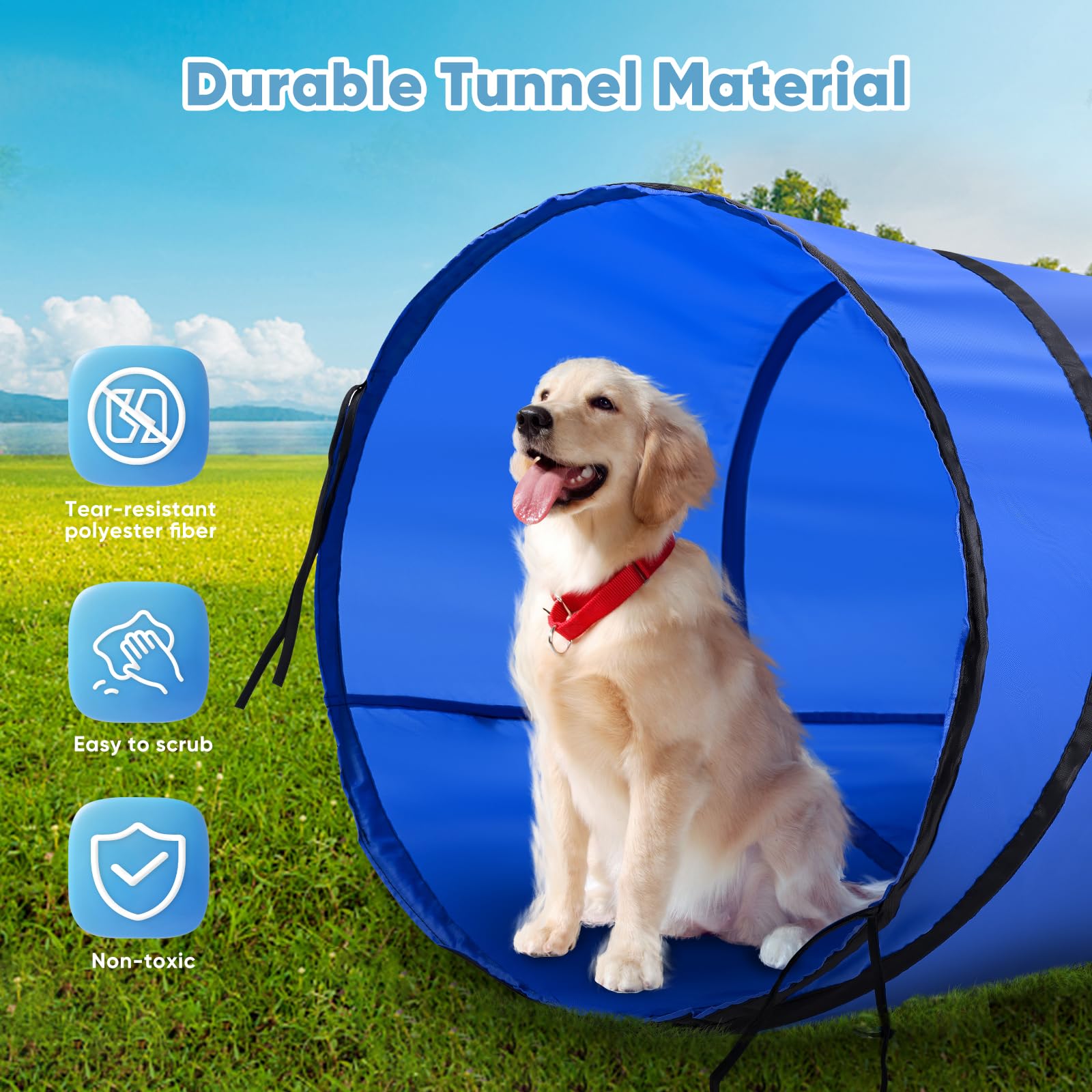 Equipo de Entrenamiento de Agilidad para Perros, Vallas de túnel para Perros, 8 Postes de eslalon, Vallas de Altura Ajustable, Parque, Cuenco Plegable