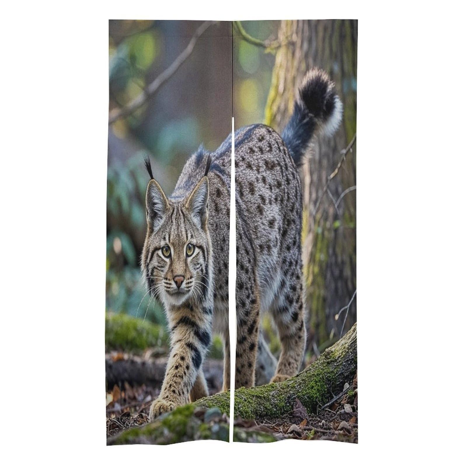 FekiLoot Wild Bobcat Door Curtain Splice Japanese Style Theme Blackout Doors Cover Hemp Door Tapestry Temperature Protection Barrier Doors Screen for Various Rooms 17W X 57L Inch