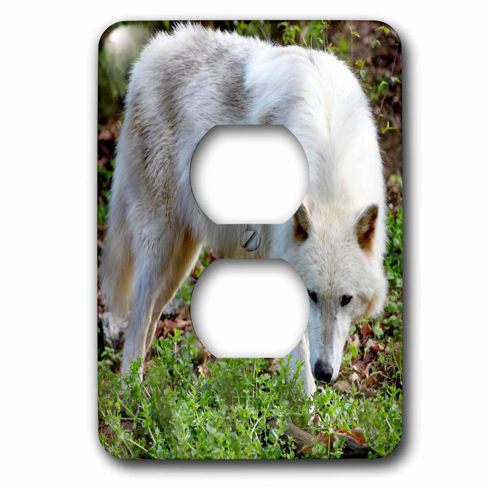 Femelle gris wolf deco nature pour interrupteur double salon