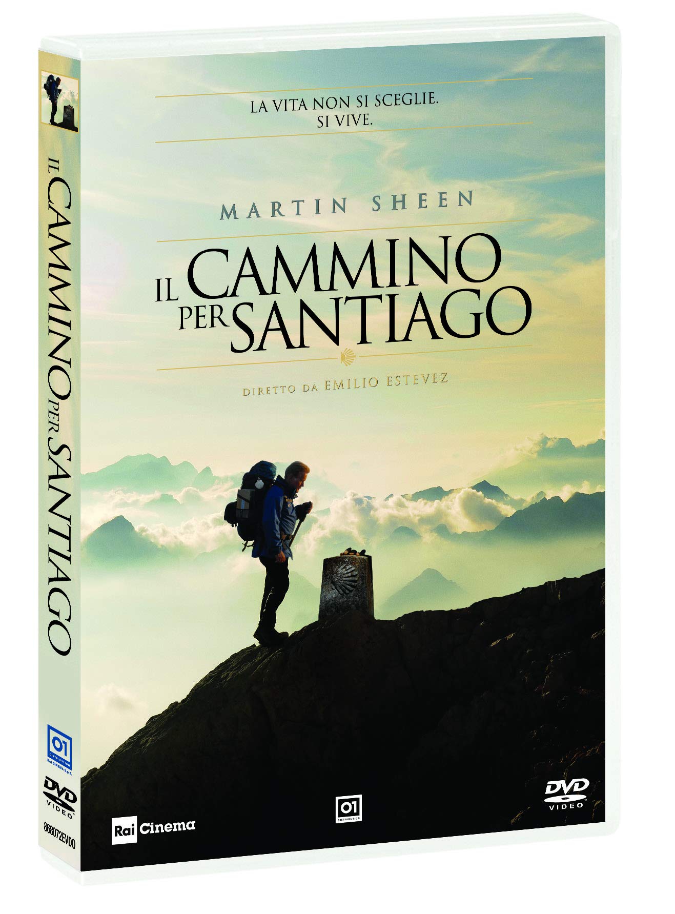 Il Cammino Per Santiago ( DVD)