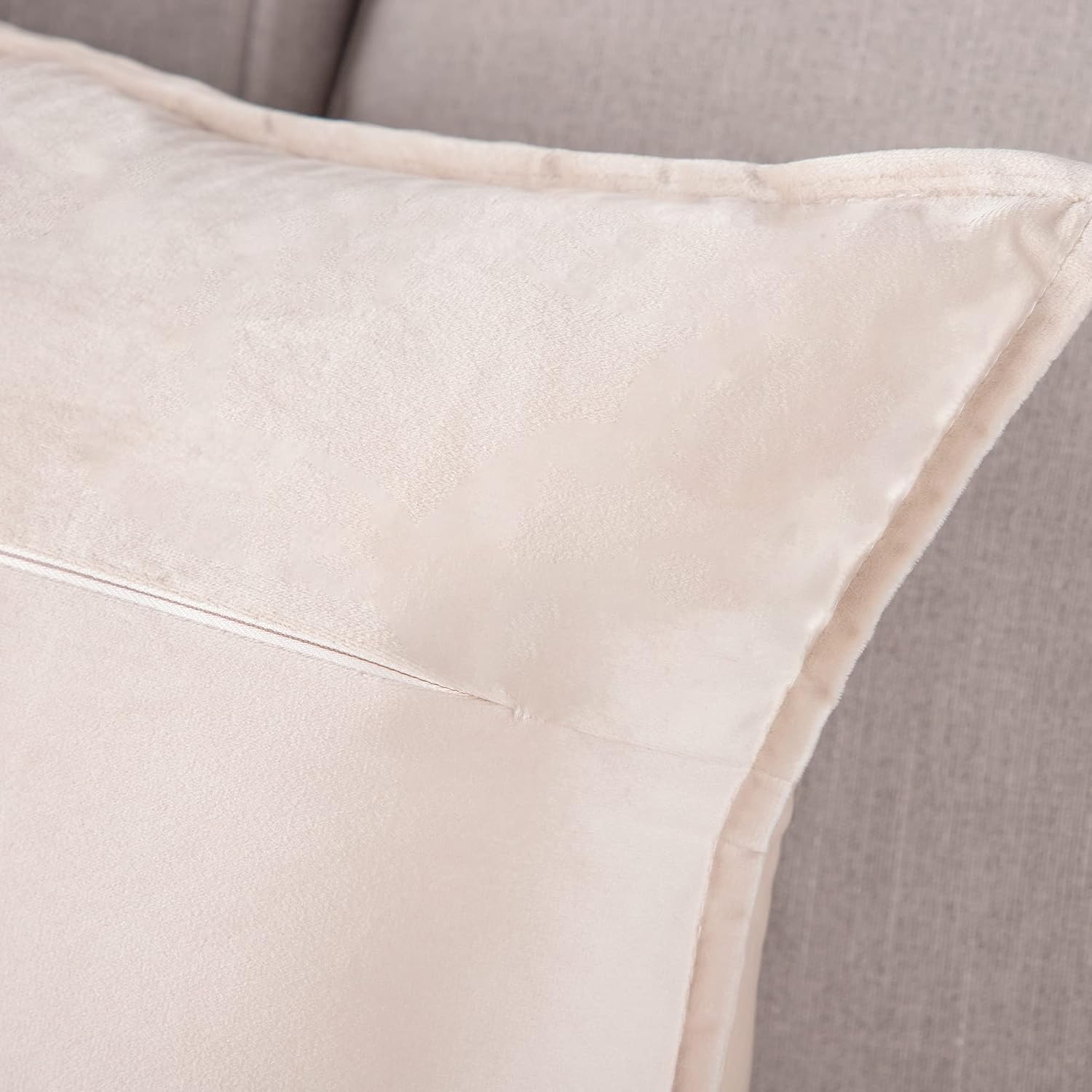 MADIZZ Set of 2 Super Soft Velvet Decorative Throw Pillow Covers 12x20 inch Beige Rectangular with Fringe Luxury Style Cushion Case Pillow Shell for Sofa Bedroom image 2