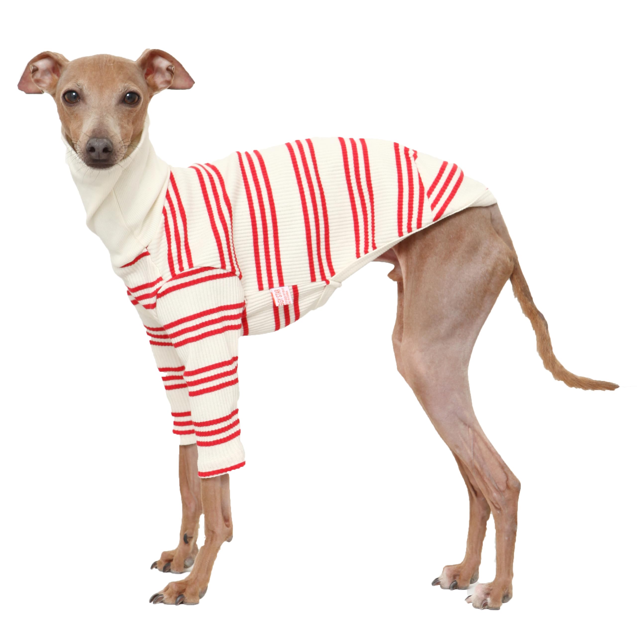 D Doggy Star Italian Greyhound Clothes Flexible T Shirts Whippet for Dogs (2XL,Red Stripe)
