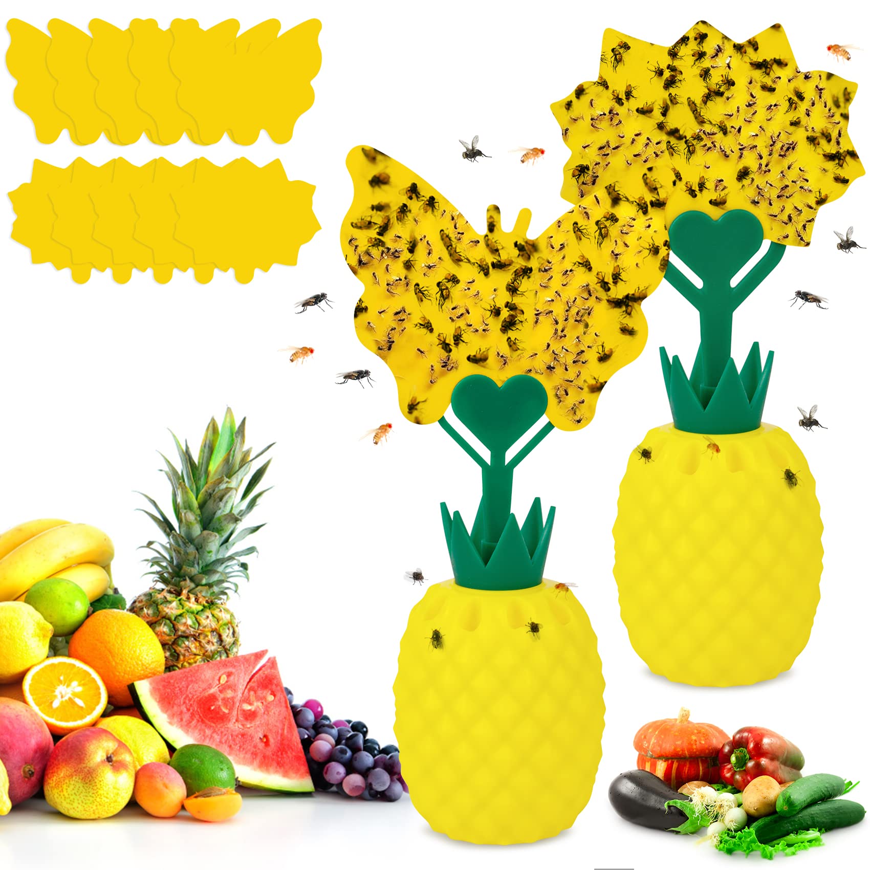 Buy Fruit Fly Trap, 2 Pack Fruit Fly Trap Fungus Gnat Traps with 10