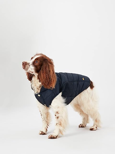 Rosewood Joules Cherington Coat For Dogs, Medium