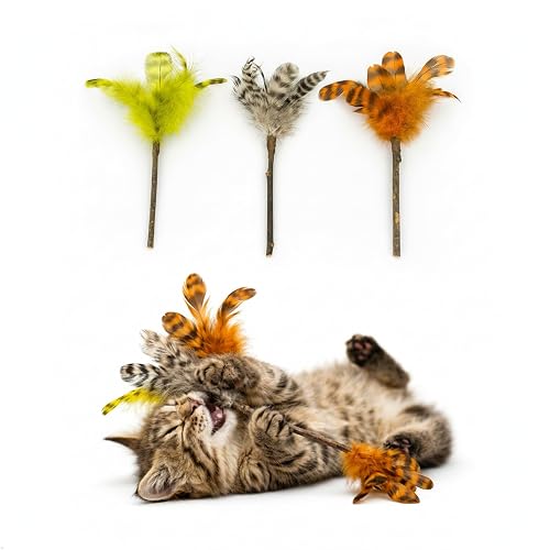 Silvervine Feather Cat Toys, 3 Pack Natural Matatabi Chew Toys