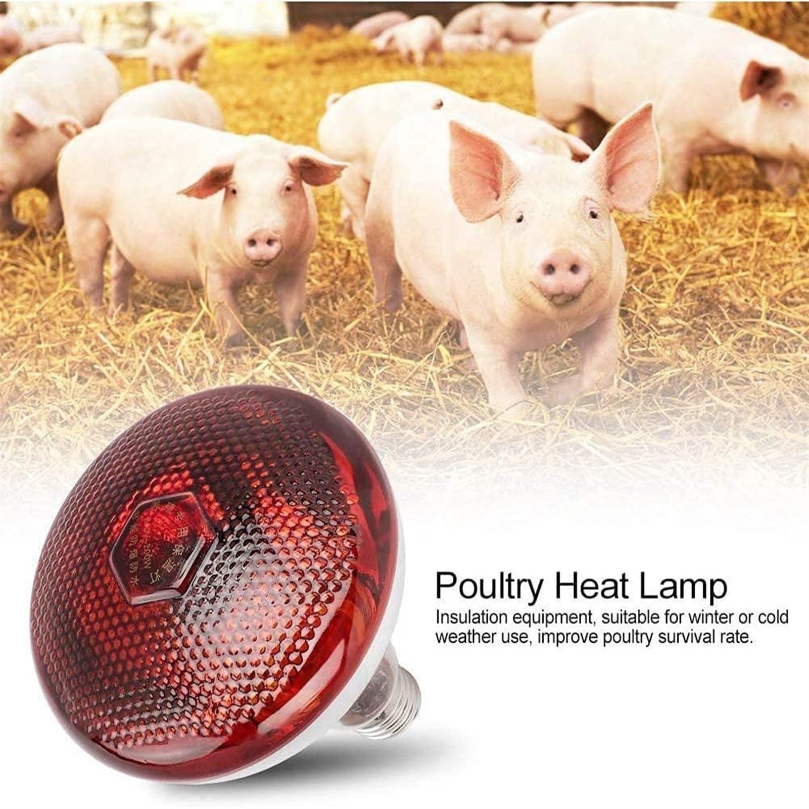 Żarówka do lampy termicznej dla zwierząt domowych, czerwona lampa termiczna na podczerwień dla gadów, lampa termiczna spot na podczerwień Czerwone światło termiczne dla jaszczurek domowych Smoki b