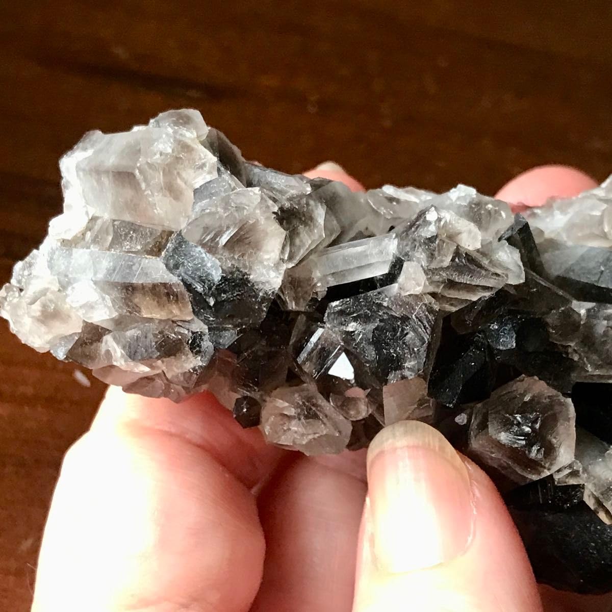 Amazon.co.jp: スモーキークォーツ モリオン 原石 クラスター 590.8ct 