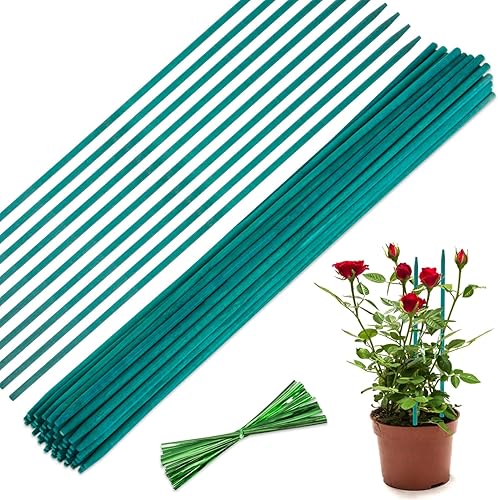 Sukh Estacas de bambú verde  50 varillas de bambú para plantas de soporte de plantas con 50 piezas de lazos para plantas, carretes de jardín estacas