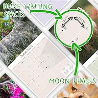 Vista 860 de Razas de Perros 2017